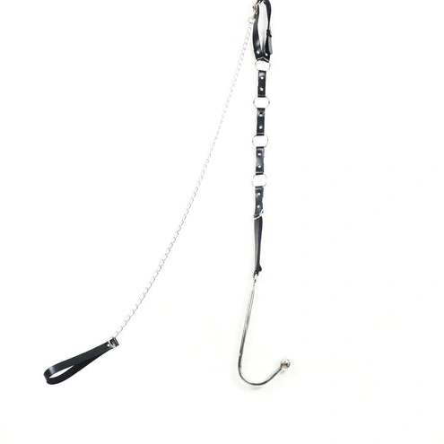 and with EverydayUse 5853 Anal Collar Kinky Leash Hook 1022